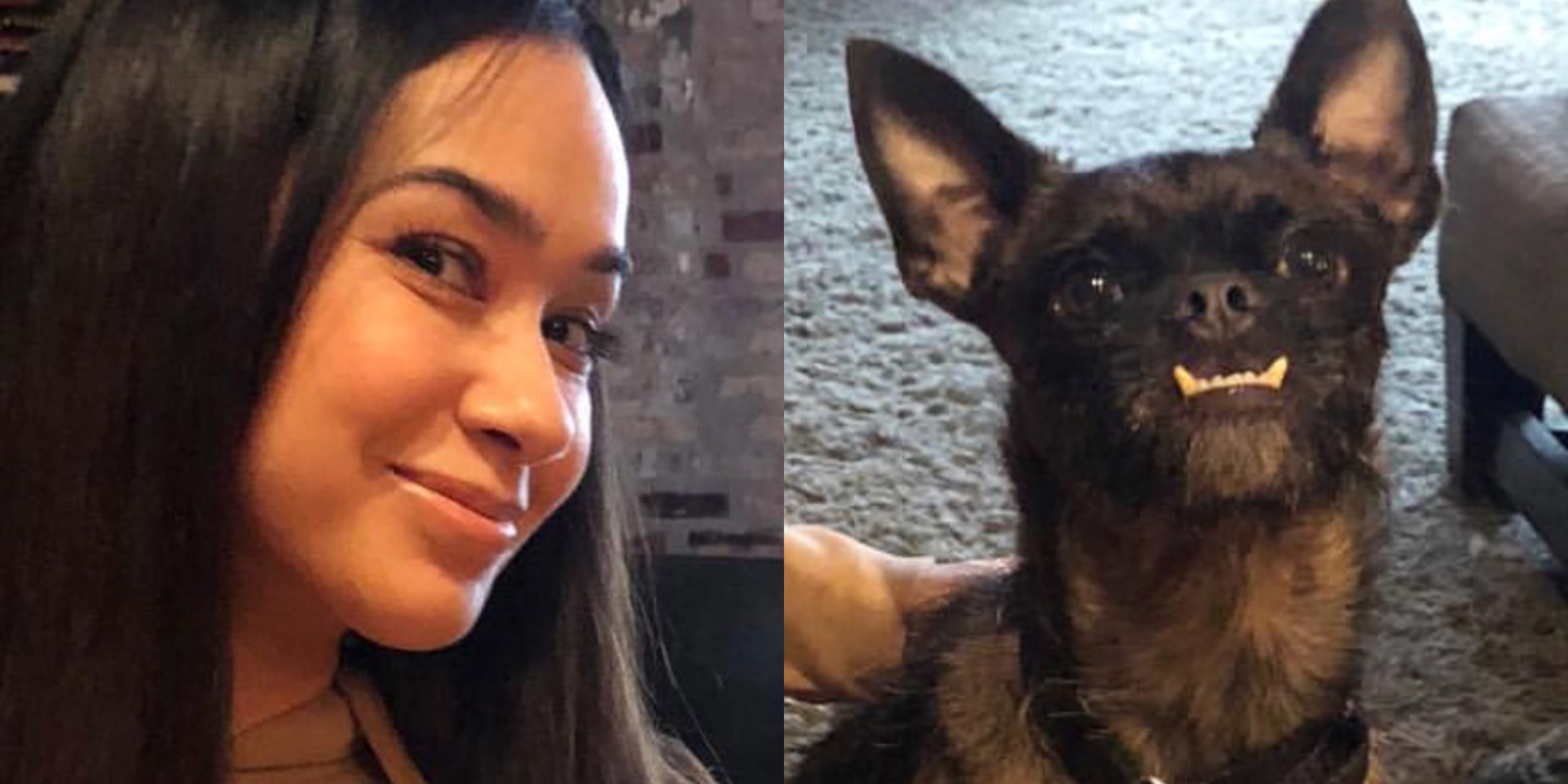 AJ Lee Proves How Much She Loves Her & CM Punk's Dog Larry