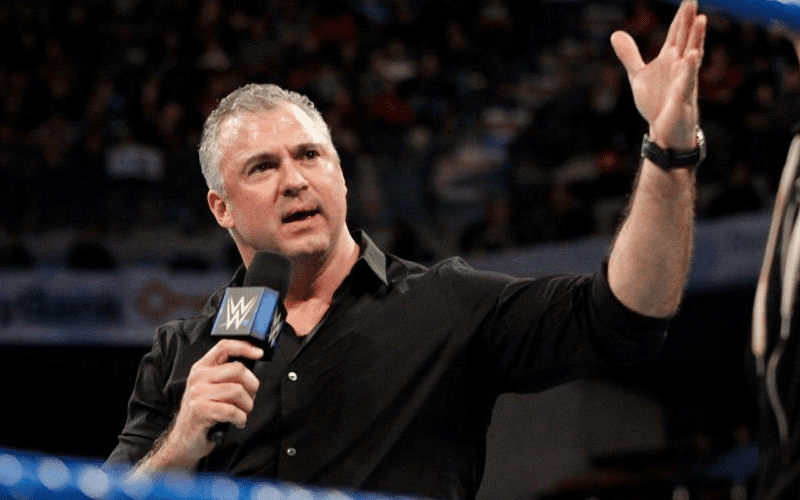 shane mcmahon buys aew