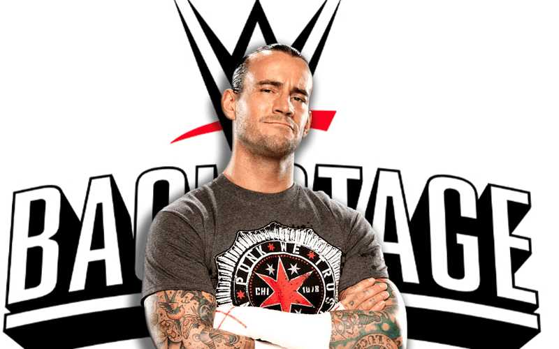 CM Punk Confirms FOX WWE Talks  He's 'Open To Anything'