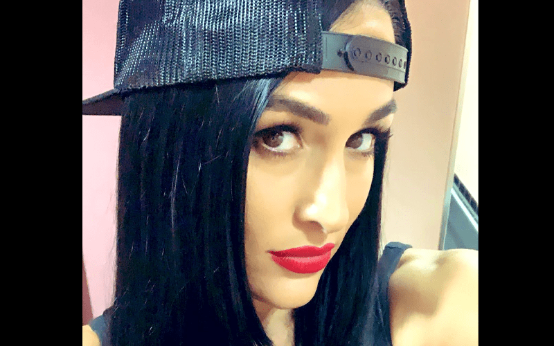 Nikki Bella Puts On Full Ring Gear & Wants To Make A WWE Return