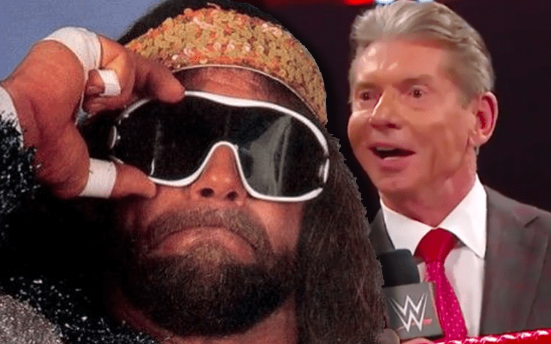 Did Randy Savage and Stephanie McMahon Have A Relationship?