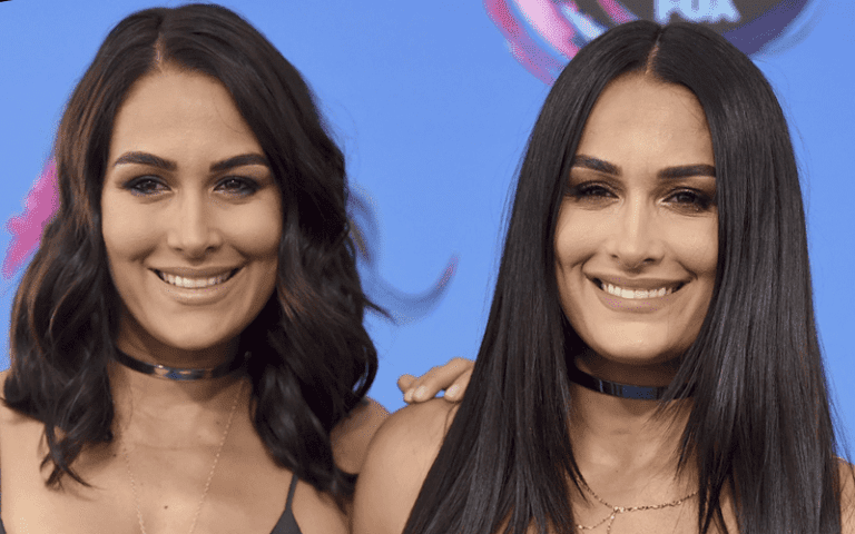 Nikki Bella And Brie Bella Are Both Pregnant