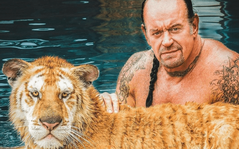 [Image: the-undertaker-tiger.png]