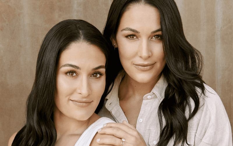 Nikki Bella Provides Update After Both Bella Twins Give Birth