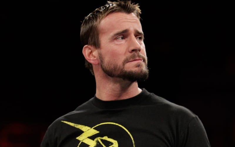 CM Punk Doesn't Want To Give Fans False Hope For Pro Wrestling Return