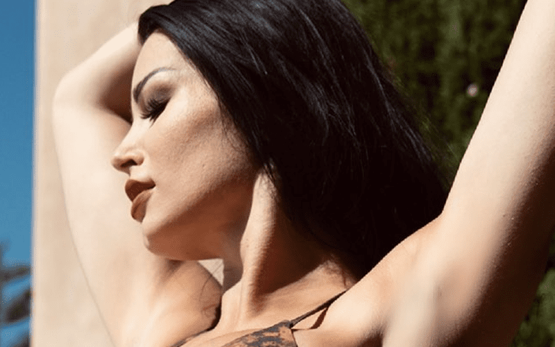 W W E Page Sex Photo - Paige Drops Stunning Bikini Photo While Borrowing Britney Spears Line