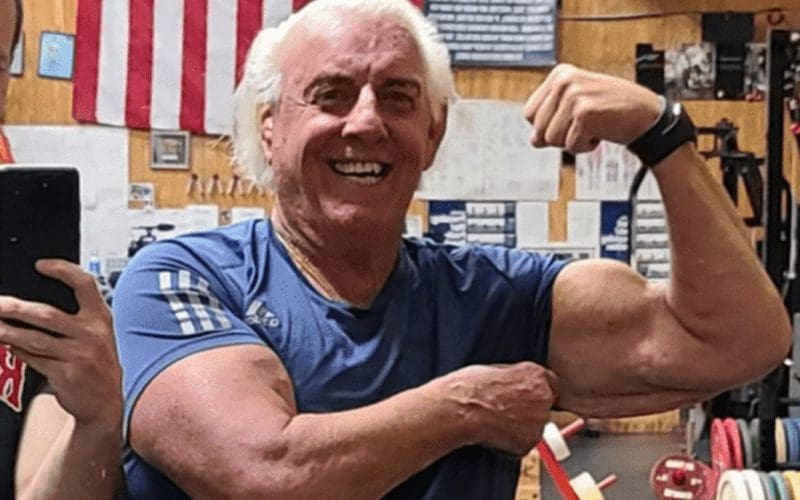 Ric Flair Adds More Fuel To The Fire For In-ring Return Rumors