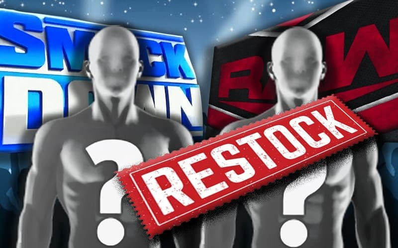 WWE Restocking Their Women's Division With Experienced Talent