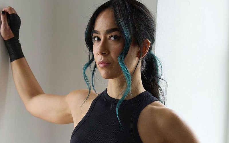 AJ Lee Makes Big Proclamation About Her InRing Future