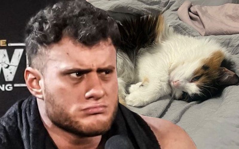 MJF Uses His Cat To Guilt Trip Fans Over Forbidden Door Match