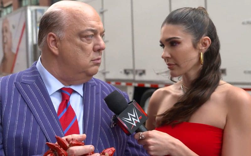 Cathy Kelley Getting Massive Props For Emotional WWE SummerSlam Promo