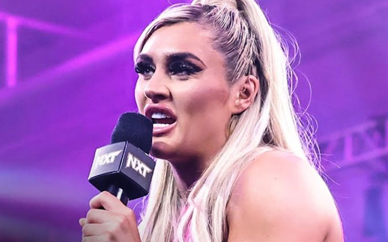 Becky Lynch Breaks Silence After Shock NXT Women's Title Loss
