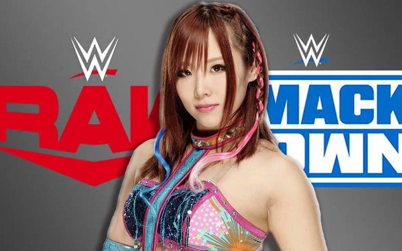 Kairi Sane's Final Match Before WWE Return Unveiled