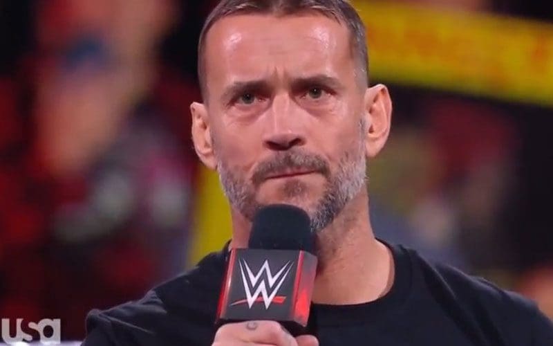 'PG Punk' Trends After CM Punk's Divisive 11/27 WWE RAW Promo