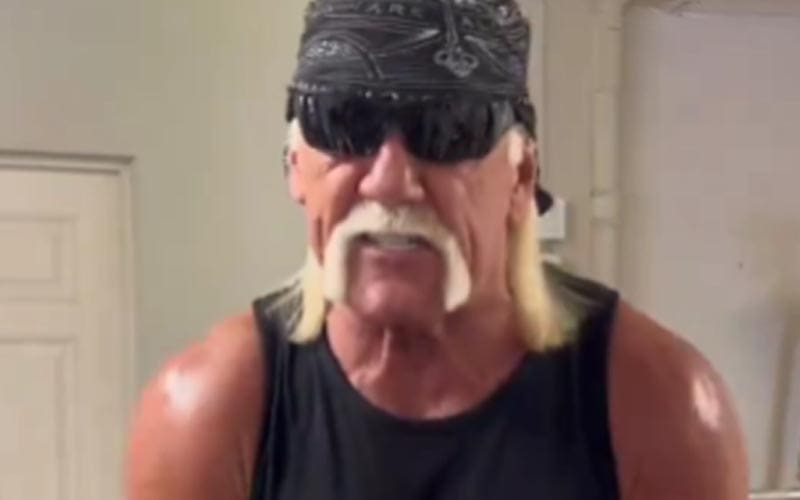 Hulk Hogan Sends Message to All Hulkamaniacs After Being Announced for WWE World