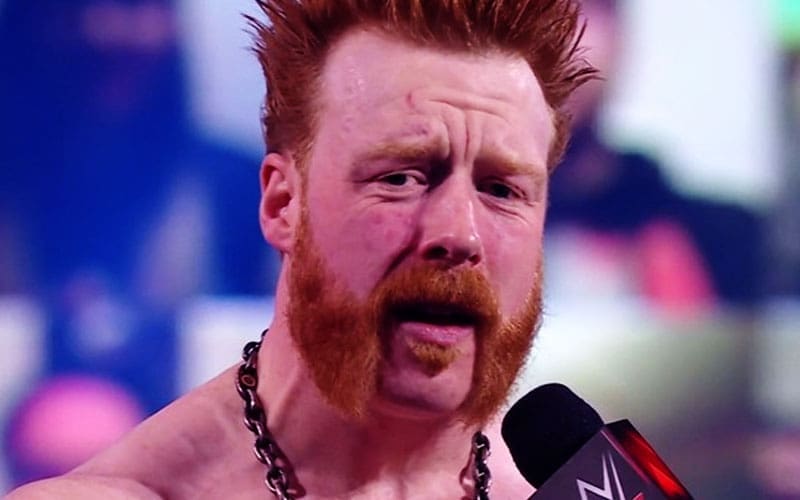 Sheamus Sends Defiant Message to Haters After Being Body Shamed