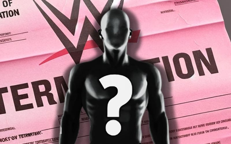 Released WWE star returns to the ring at indie event