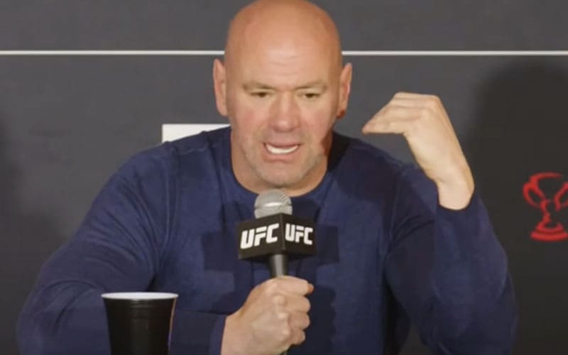 Dana White Reveals WWE Premium Live Events to Take Place on Sundays