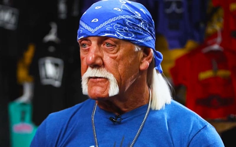 Hulk Hogan Vows to Avoid Past Mistakes After Born-Again Baptism