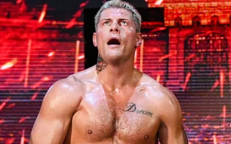 Cody Rhodes Achieved Incredible Merchandise Sales Milestone at 2024 WWE