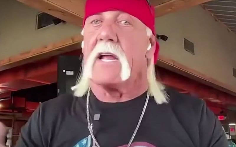 Hulk Hogan Reveals Motivation Behind Starting His Own American Beer Brand