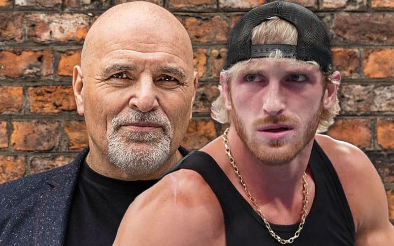 https://www.ringsidenews.com/wp-content/uploads/2024/12/logan-paul-challenged-to-boxing-match-by-tyson-furys-59-year-old-father-john-fury-29.jpg?x83118