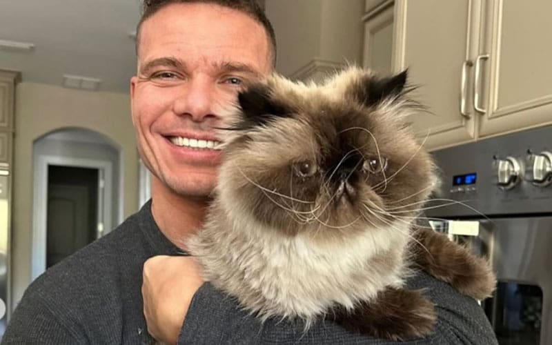 https://www.ringsidenews.com/wp-content/uploads/2024/12/natalya-and-tj-wilson-mourn-the-loss-of-their-beloved-cat-louis-49.jpg?x17652