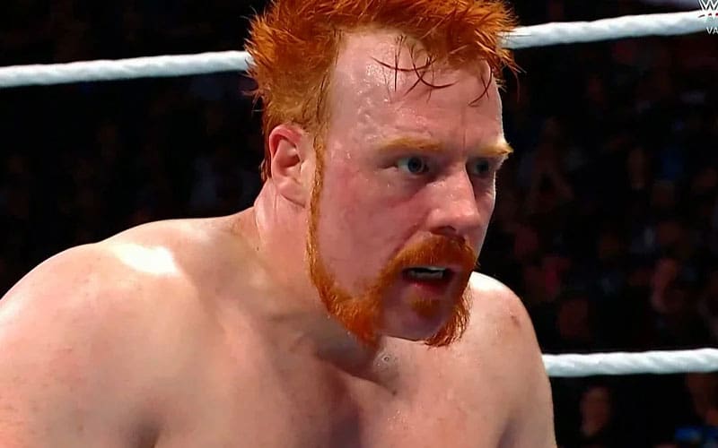 https://www.ringsidenews.com/wp-content/uploads/2024/12/sheamus-shares-brutal-war-wounds-after-survivor-series-showdown-33.jpg?x24106