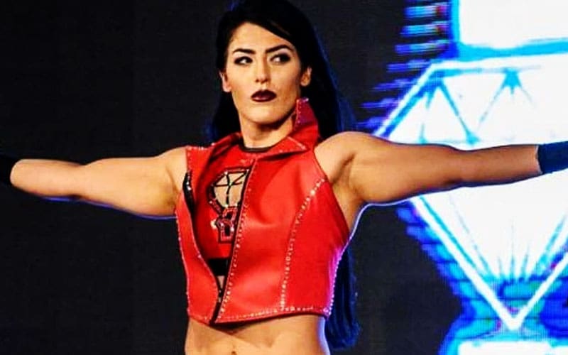 https://www.ringsidenews.com/wp-content/uploads/2024/12/tessa-blanchard-set-for-tna-return-amid-speculation-of-major-feud-30.jpg?x14245