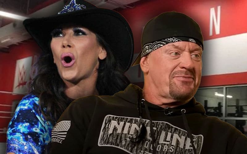 https://www.ringsidenews.com/wp-content/uploads/2024/12/the-undertaker-mickie-james-and-more-film-new-wwe-content-for-aampe-14.jpg?x18876