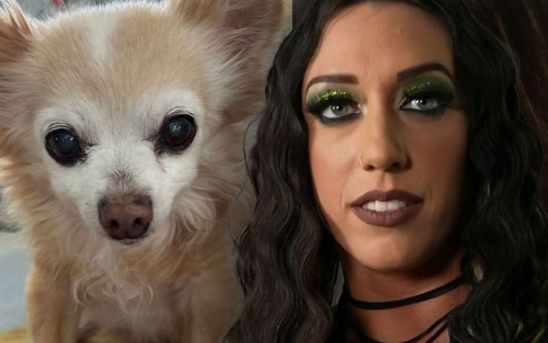 https://www.ringsidenews.com/wp-content/uploads/2024/12/wwe-nxt-star-jacy-jayne-mourns-the-loss-of-her-beloved-dog-23.jpg?x24106